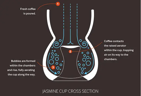 WHAT’S UNIQUE IN JASMINE CUP