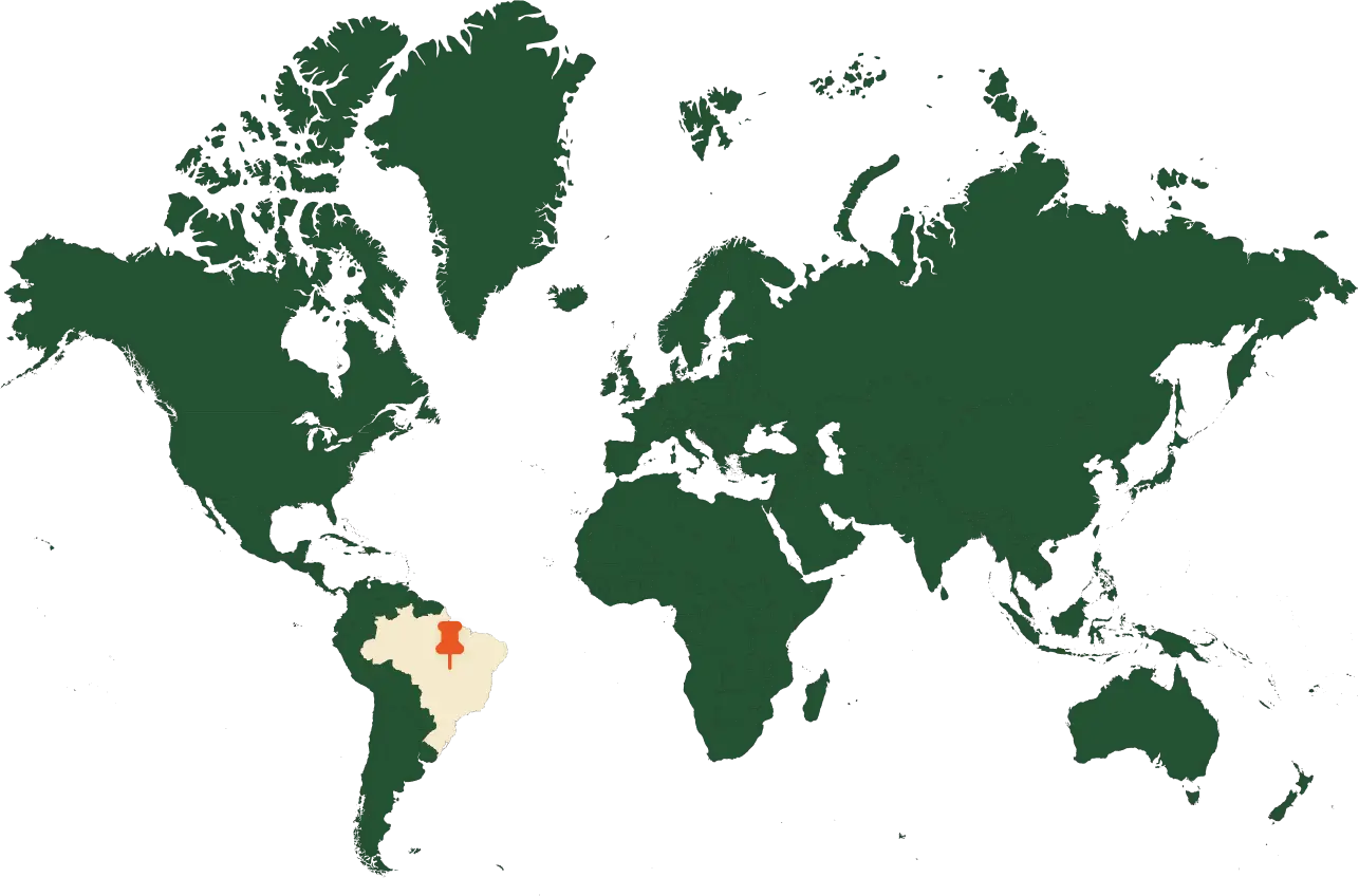 World Map Pattern