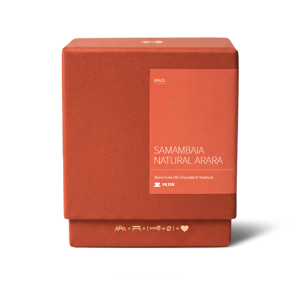 Samambaia Natural Arara