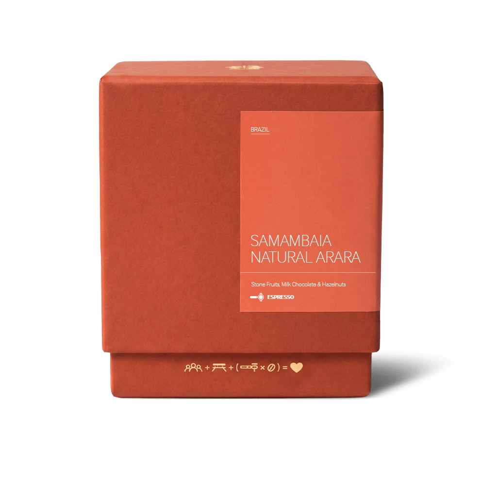 Samambaia Natural Arara